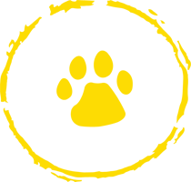 Julington Creek Elementary