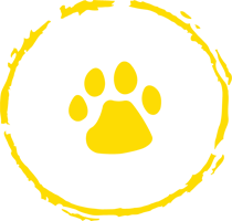 Julington Creek Elementary